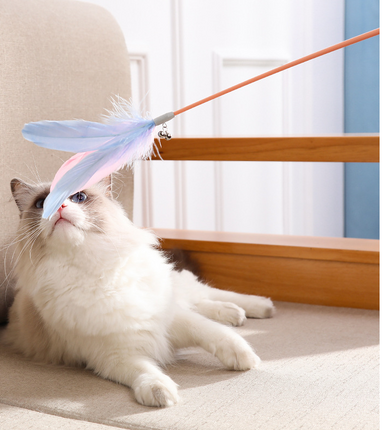 New Pet Cat Toy Products Feather Teasing Stick
