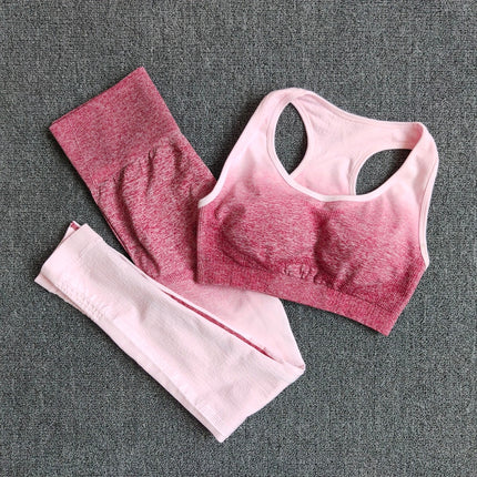 Ombre Yoga Set Sports Bra and Leggings