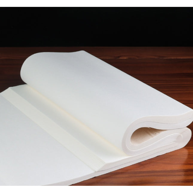 Liupintang Herbal Pain Relief Sheets