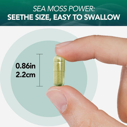 Seaweed Capsules  60 Capsules Per Bottle
