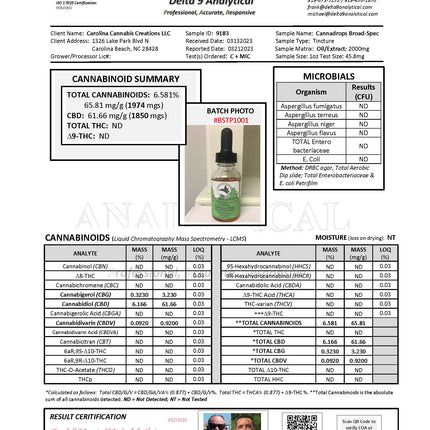 Canna Drops broad spectrum Daily Support 2000mg tincture