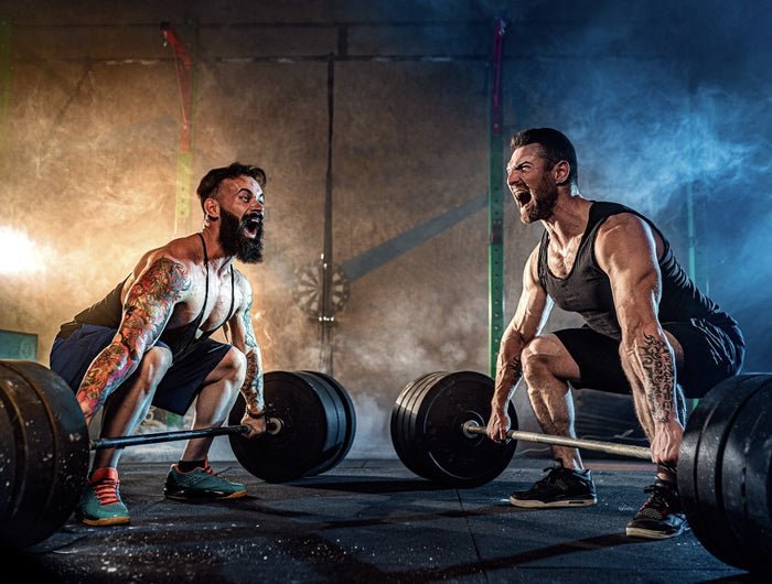 FITNESS  ACCESSORIES