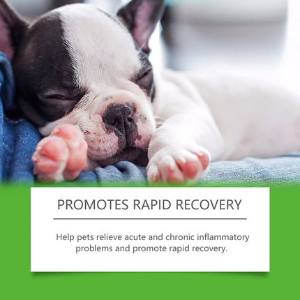 Dietary Supplements For Pets And Dogs