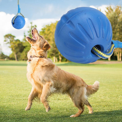 Golden Retriever Band Bouncing Ball Training Funny Pet Products