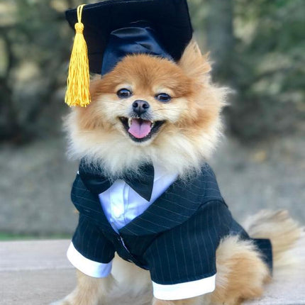 Tassel Degree Hat Pet Products