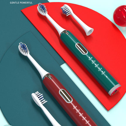 Ultrasonic Sonic Electric Toothbrush USB Rechargeable Tooth Brush