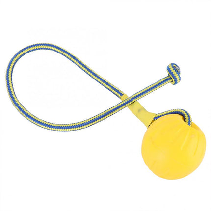 Golden Retriever Band Bouncing Ball Training Funny Pet Products