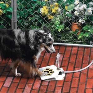 PET WATER FOUNTAIN
