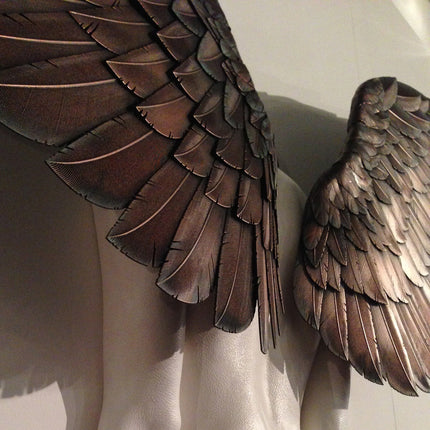 Angel Resin Wall Decoration Resin Wings Ornaments Garden Home Decoration