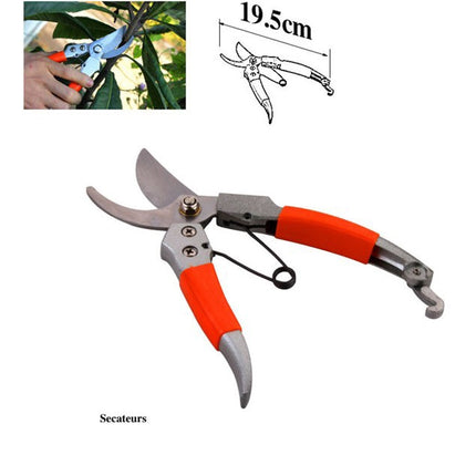 Mini Bonsai Tools Gardening Hand Tools Kit with Tote Bag Elbow Branch Nail Rake Spade Spraying Pot for Gardeners