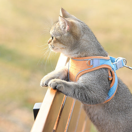 Reflective Cat harness and leash