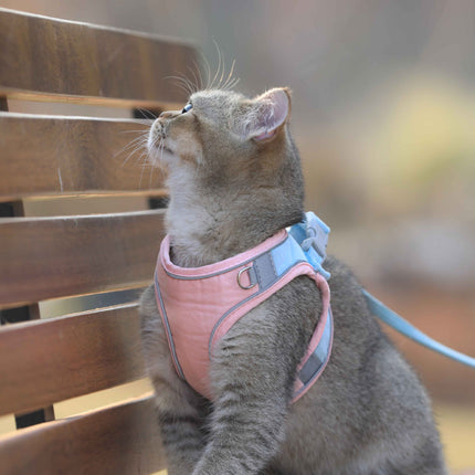 Reflective Cat harness and leash
