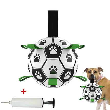 Protection Interactive Toy