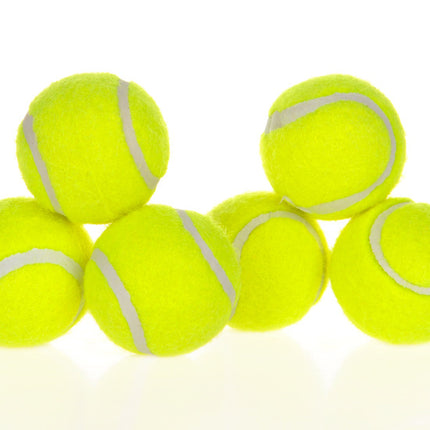 Pet Automatic Ball Launcher