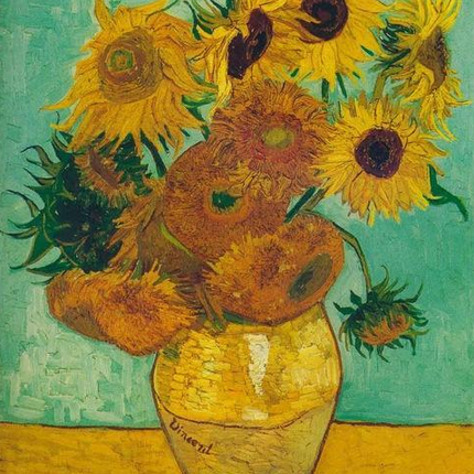 Best Pictures DIY Digital Oil Painting Paint By Numbers Christmas Birthday Unique Gift Van gogh starry sky of the rhone river