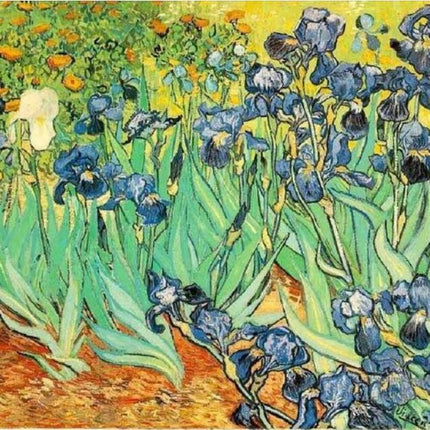 Best Pictures DIY Digital Oil Painting Paint By Numbers Christmas Birthday Unique Gift Van gogh starry sky of the rhone river