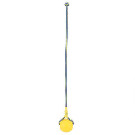 Golden Retriever Band Bouncing Ball Training Funny Pet Products