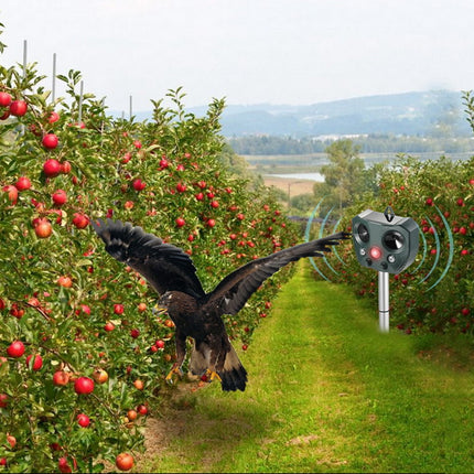 Solar Ultrasonic Driver