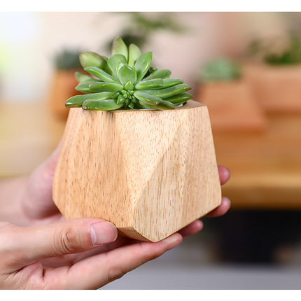 Simple Wooden Flowerpot Creative Home Garden