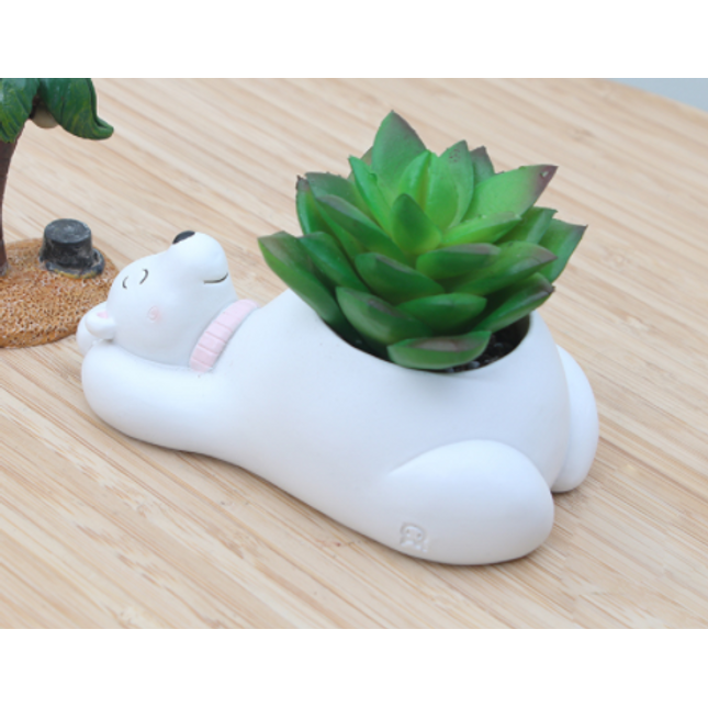 Creative Cartoon Animal Succulent Plant Pot