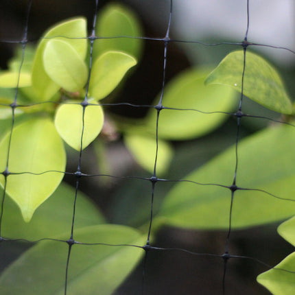 Garden Anti Bird And Deer Fence