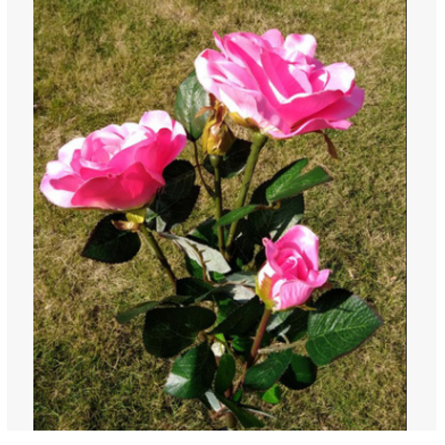Solar rose lamp 3LED plug in the sun nen light garden garden light lawn light