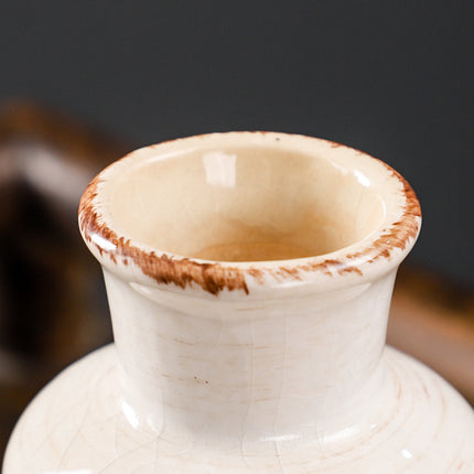 Home Decoration Vase Garden Flowers Inserted
