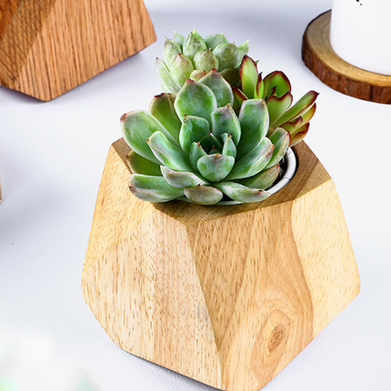 Simple Wooden Flowerpot Creative Home Garden