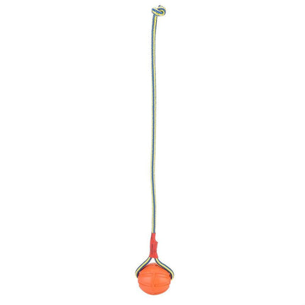 Golden Retriever Band Bouncing Ball Training Funny Pet Products