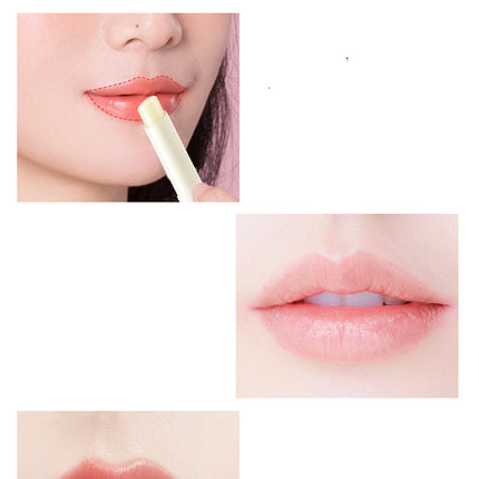Lip Balm Moisturizing Mask Care