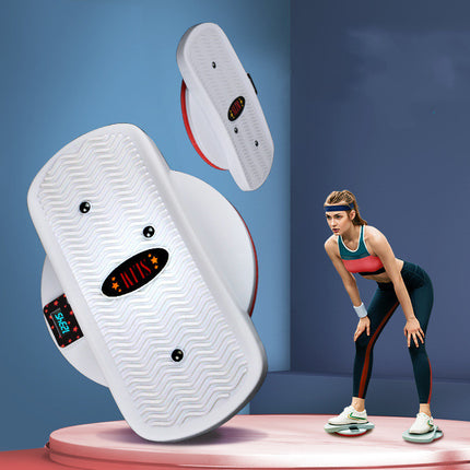 Home Twisting Machine Fitness Equipment