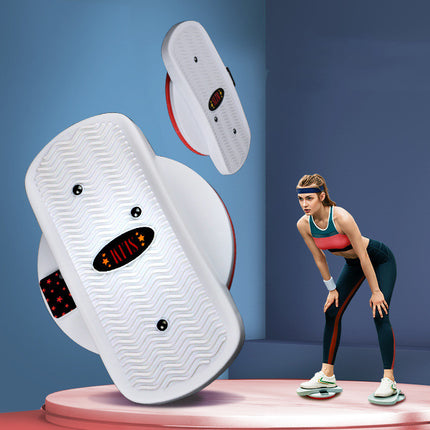 Home Twisting Machine Fitness Equipment
