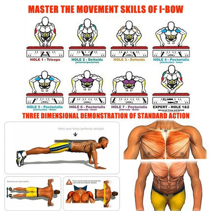 Muscle Training Push Up Workout Equipments For Home Gym