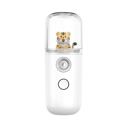 Usb Rechargeable Mist Sprayer Mini Creative Nano Face Spray Facial