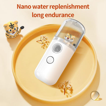 Usb Rechargeable Mist Sprayer Mini Creative Nano Face Spray Facial
