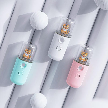 Usb Rechargeable Mist Sprayer Mini Creative Nano Face Spray Facial