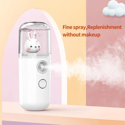Usb Rechargeable Mist Sprayer Mini Creative Nano Face Spray Facial
