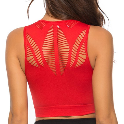 Hot Fitness Women's Sports Bra