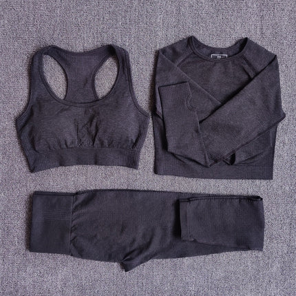 Women Seamless Fitness Yoga Set