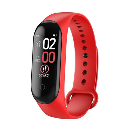 Fitness Wristband