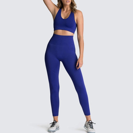 2 Piece Seamless Yoga Sets
