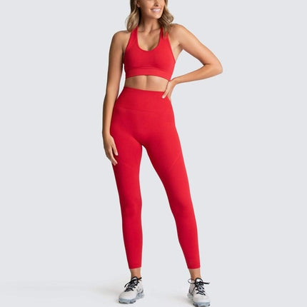 2 Piece Seamless Yoga Sets