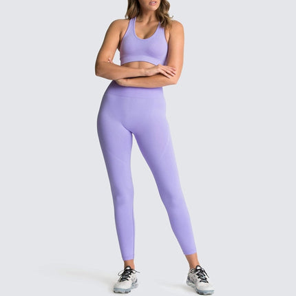 2 Piece Seamless Yoga Sets
