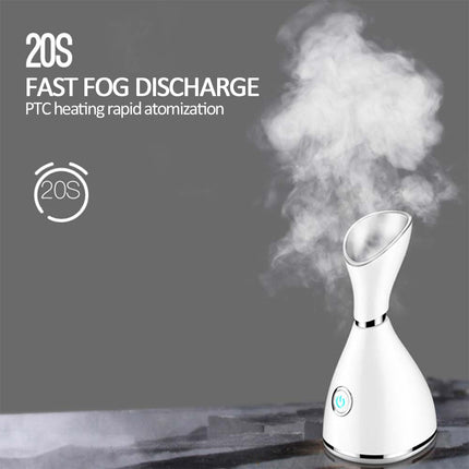 Facial steamer