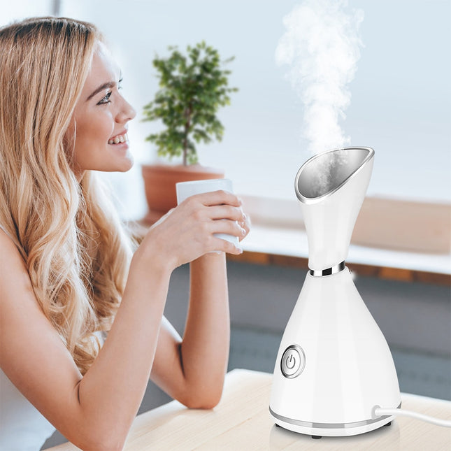 Facial steamer